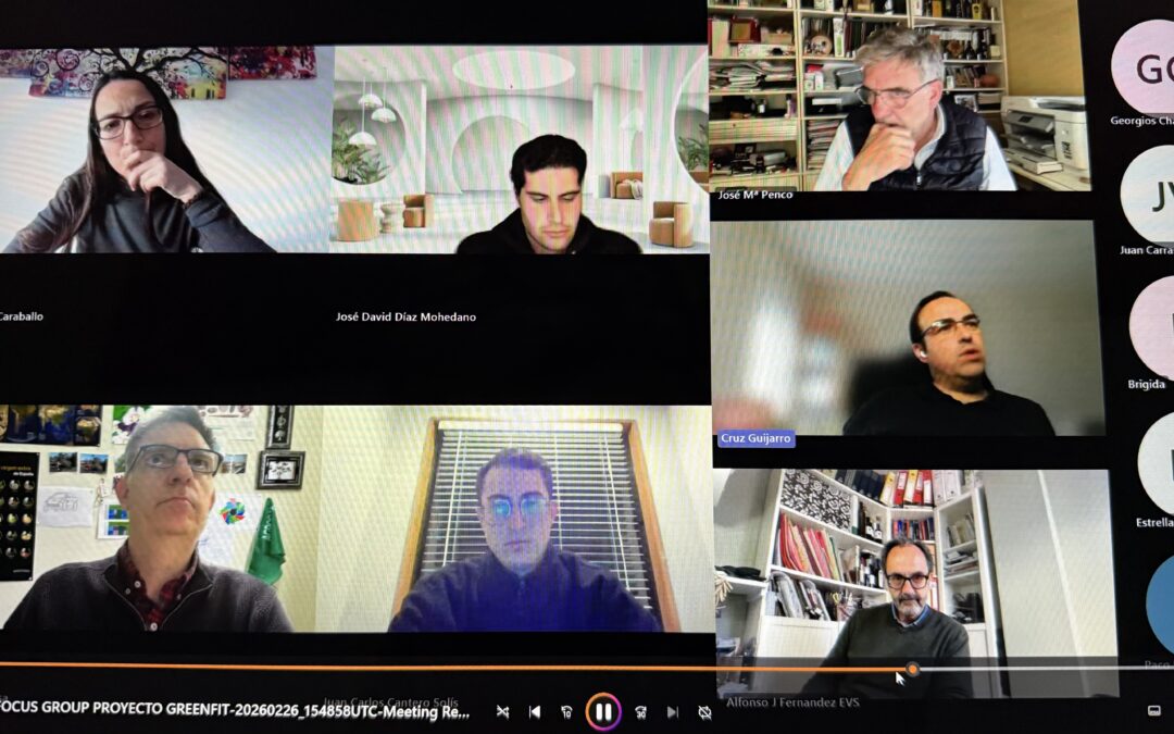 Advancing Green and Digital Innovation in Spanish Olive Farming: Focus Group Insights